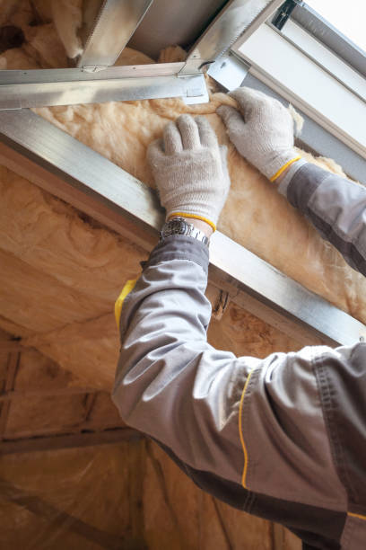 Best Insulation for Commercial Buildings  in Massanetta Springs, VA