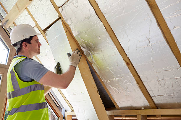 Best Insulation Contractors for Homes  in Massanetta Springs, VA